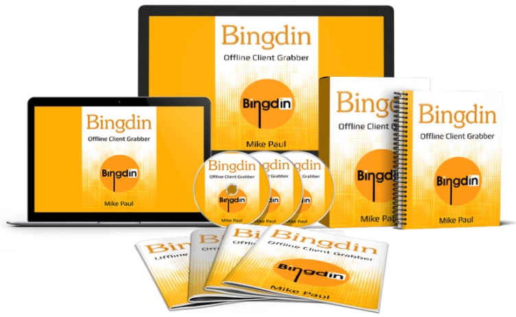 Bing Bang Profits 2 Review